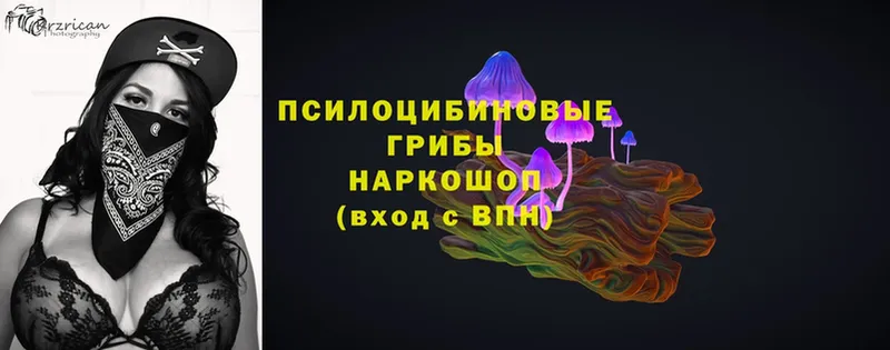 Галлюциногенные грибы MAGIC MUSHROOMS  закладки  Кимры 